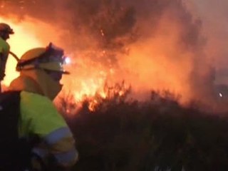 Expertos analizan y evalúan los incendios