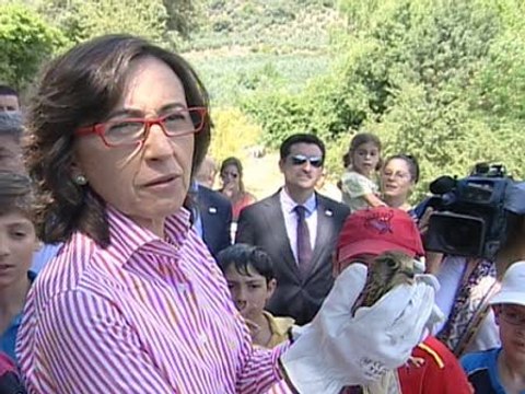 No hay problema en analizar productos españoles