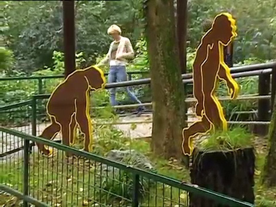 Zabranjena ljubav 252