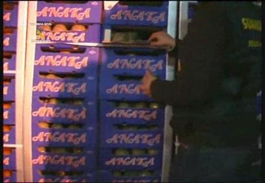 La Guardia Civil incauta 2.500 kilos de hachis oculto en camiones de hortalizas