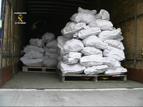 Camuflaban el hachís entre hortalizas