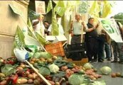 Protesta de los agricultores valencianos ante el consulado alemán