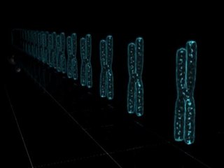 Hallado el genoma de la leucemia linfática