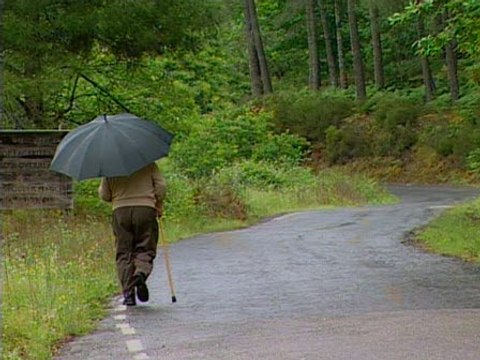 Detenidos dos políticos por atropello mortal de un candidato