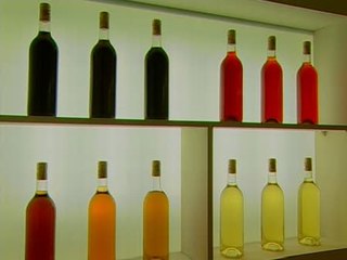 Recorrido por el Museo del Vino de Almendralejo