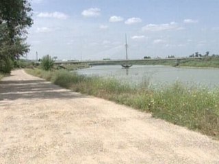 Degollan a una mujer cerca de un polígono industrial