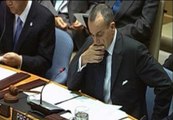 El Consejo de Seguridad de la ONU expresa su satisfacción por la muerte de Bin Laden