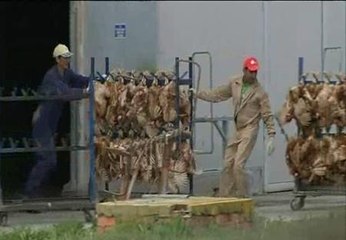 Los trabajadores de Hibramer impiden que se saquen gallinas