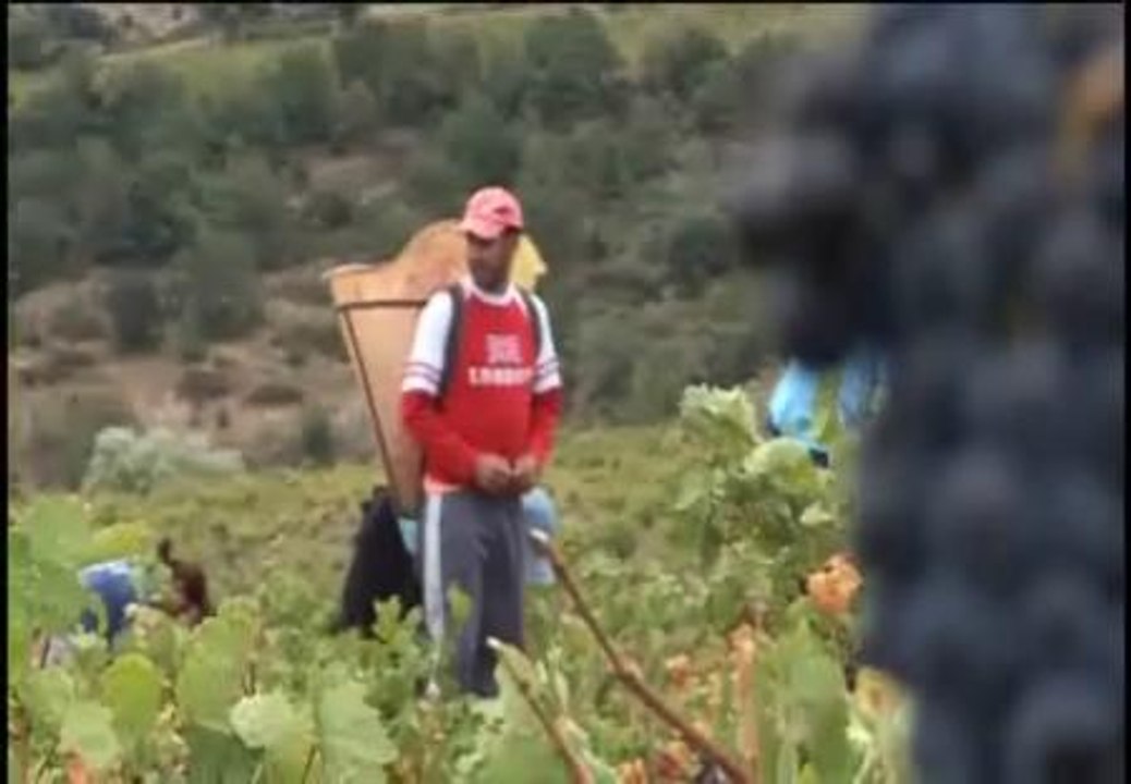 Los españoles en el extranjero crecen un ocho por ciento
