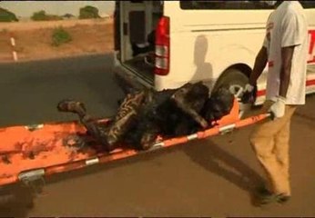 Brote de violencia en Nigeria tras las elecciones