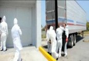 La policía mexicana encuentra nuevas fosas de víctimas de los narcos