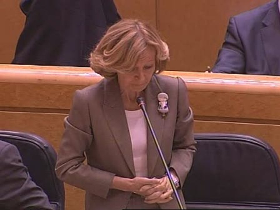 Salgado no modificaría previsión de crecimiento
