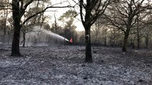 Sept hectares de sous-bois partent en fumée