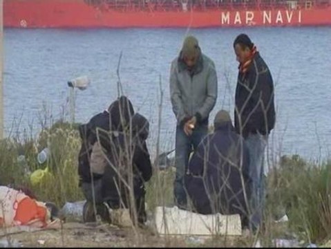 Vivimos como animales