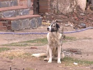 Un cadáver localizado en Vilaverd