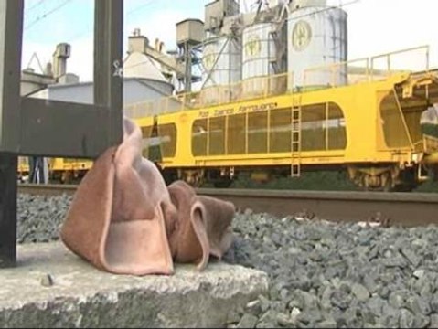 Fallecen dos menores al ser arrolladas por un tren