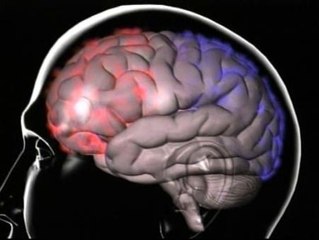 Estudian el cerebro para llegar mejor al consumidor
