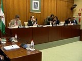 Parlamento Andaluz rechaza Comisión Investigación