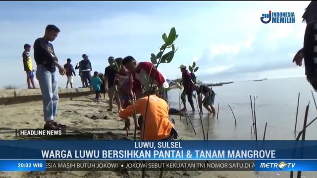Sambut Hari Bumi Sedunia, Warga Luwu Bersihkan Pantai dan Tanam Mangrove