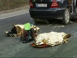Fallece un matrimonio en un accidente en Vizcaya