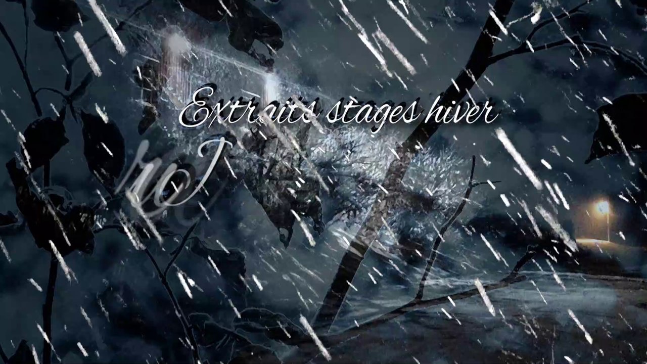 Extraits stages aquarelle "ambiances de neige" Jura oriental hiver, mars 2019