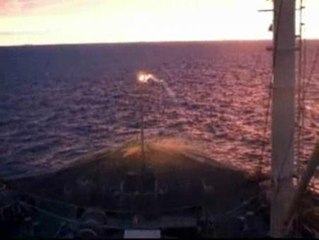 Lucha por la vida y la muerte de las ballenas en el mar