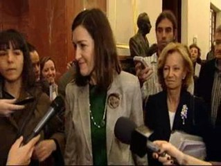 El PP lleva al Senado la "Ley Sinde"