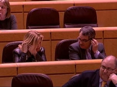 El uso de lenguas cooficiales en el Senado, ¿gasto innecesario o justificado?