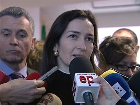 González-Sinde, satisfecha con decisión de la Academia