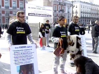 Se concentran en defensa de los animales