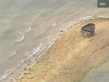 Un misterioso piano aparece en las playas de Miami