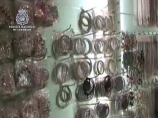 La Policía interviene una red de tráfico de bisutería
