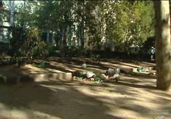 La Plaza de España de Madrid se convierte en un basurero