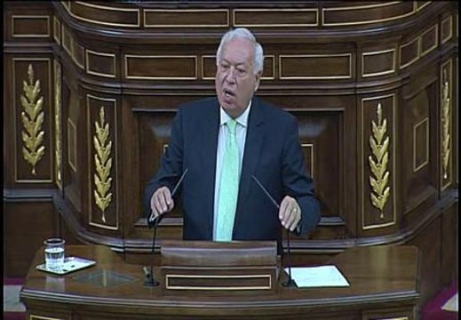 García-Margallo habla de nazismo y marxismo en el Congreso de los Diputados