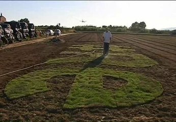 Publicidad plantada a vista de pájaro