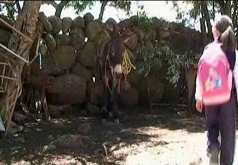 Burros en lugar de autobuses escolares en Guanajuato