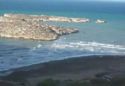 Avalancha de inmigrantes