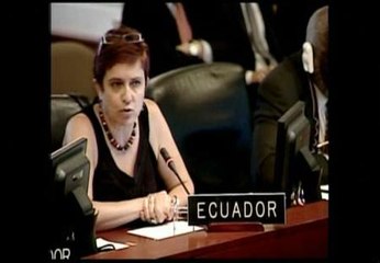 Reunión de emergencia de la OEA sobre el "caso Assange"