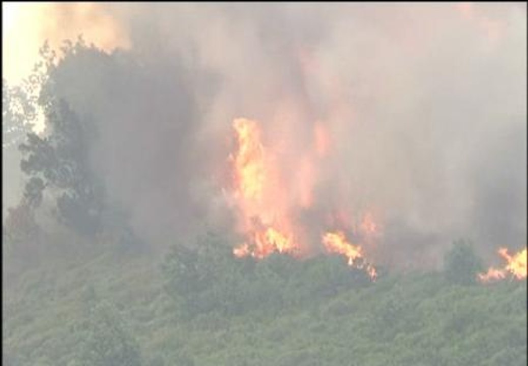 Los incendios azotan Castilla y León