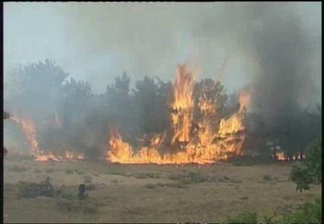 Un incendio forestal sacude la isla griega de Chios