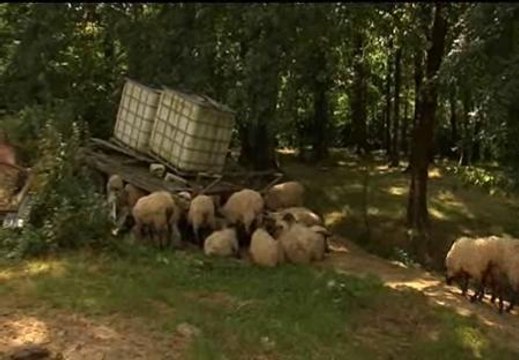El sueño de Maider Unda