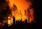 Estabilizado el incendio en Torremanzanas (Alicante)