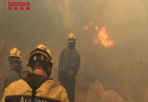 La Generalitat propone que los presos conmuten penas con trabajos forestales