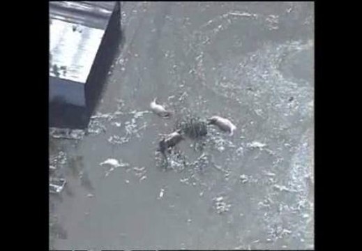 El temporal en Pekín mata a 37 personas