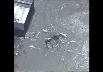 El temporal en Pekín mata a 37 personas