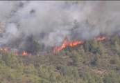 Campaña de concienciación contra los incendios provocados por las colillas