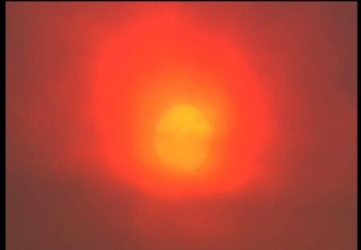 Un fuego sin control obliga a cortar la autovía y el AVE en La Jonquera