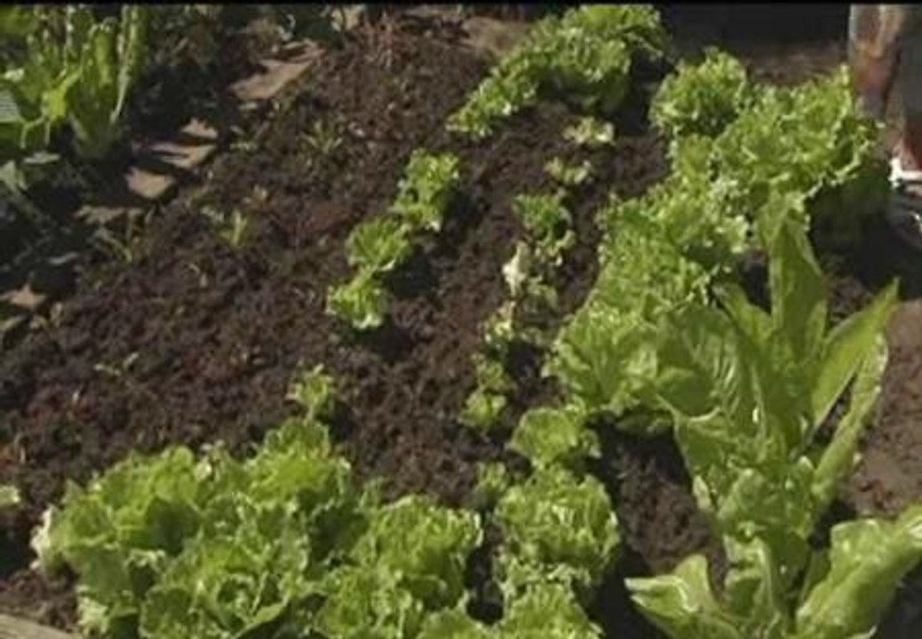 El Ayuntamiento de Santander crea huertos urbanos para los vecinos