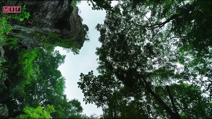 Trailer Monstrum (2018) PT-BR