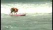 Más de 50 perros en una nueva edición de surfistas caninos